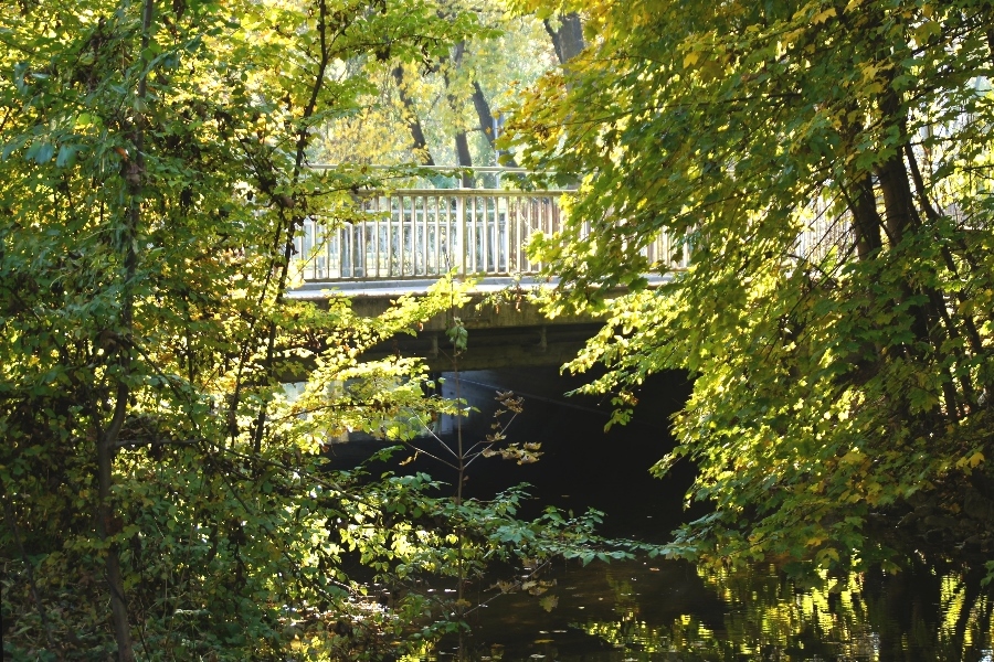 herbstliches Sonnenlicht