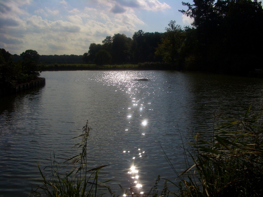 Herbstliches Sonnenspiel