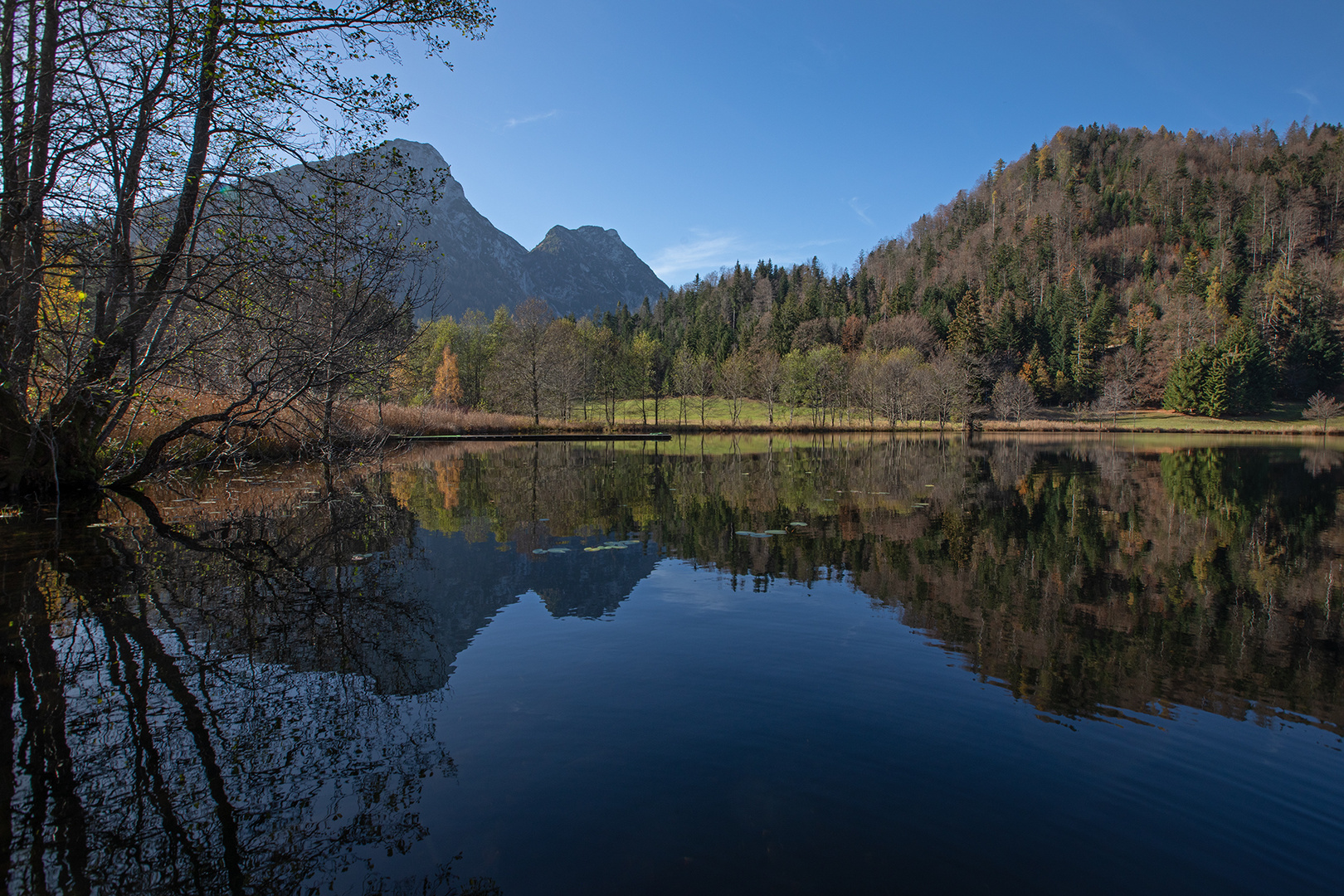 herbstliches Spiegelbild