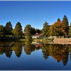 Herbstliches St. Peter im Breisgau