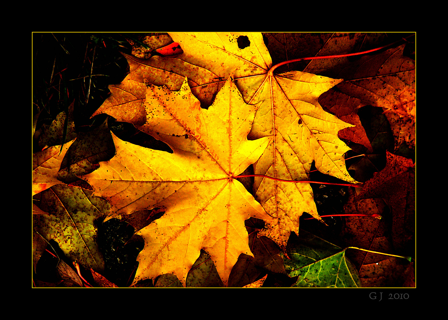 Herbstliches Stilleben