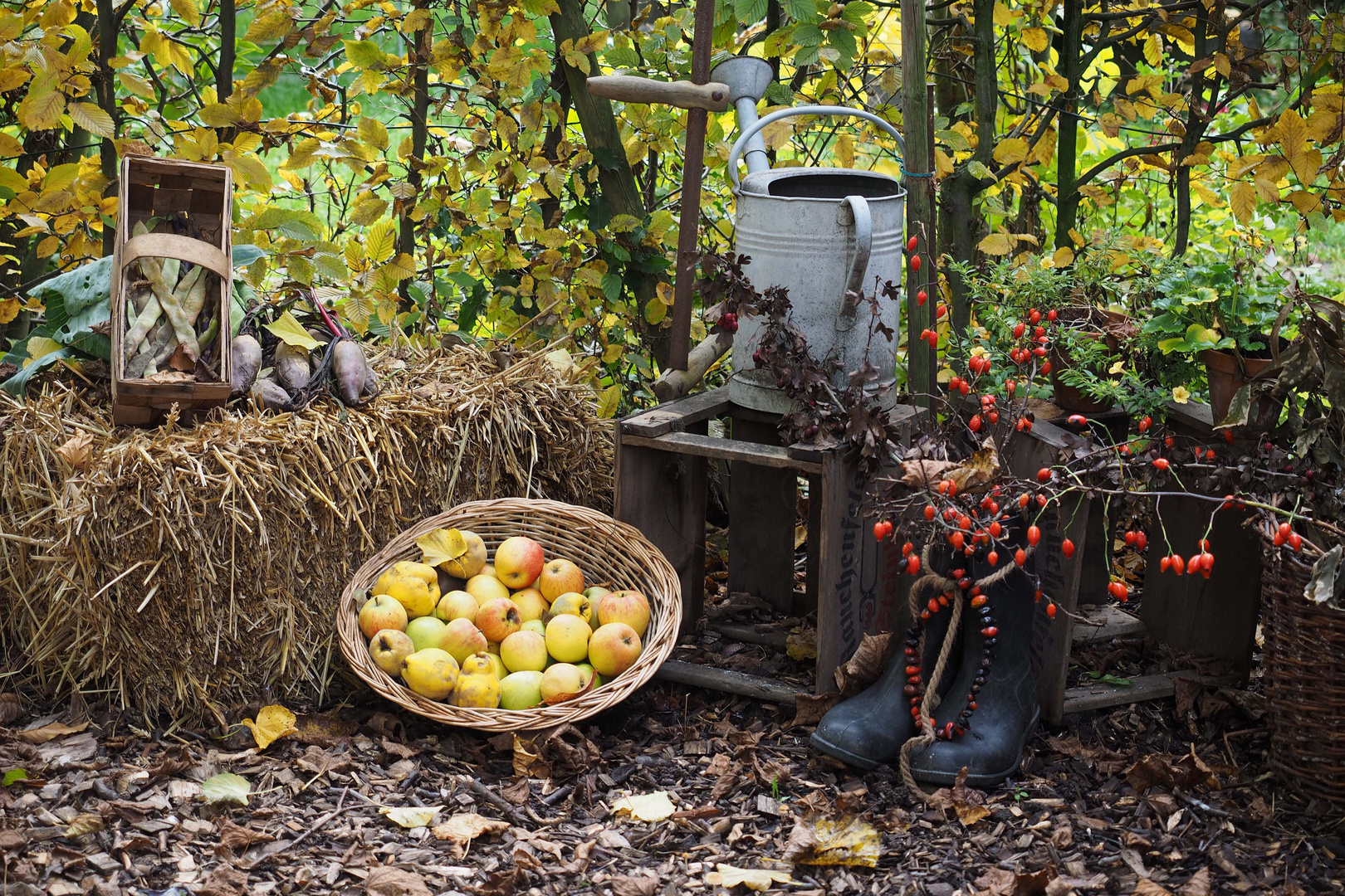 herbstliches Stilleben