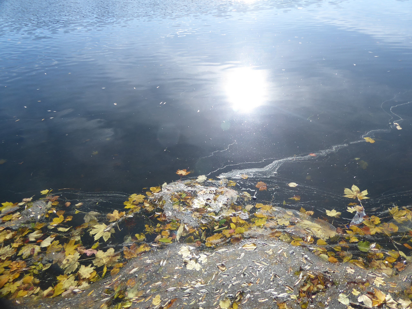 Herbstliches Stillleben...