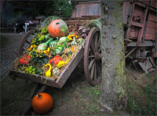 Herbstliches Stillleben