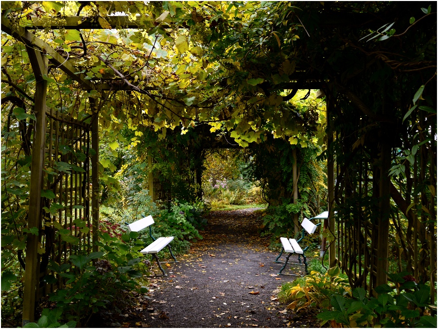 herbstliches Stillleben