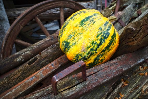 Herbstliches Stillleben