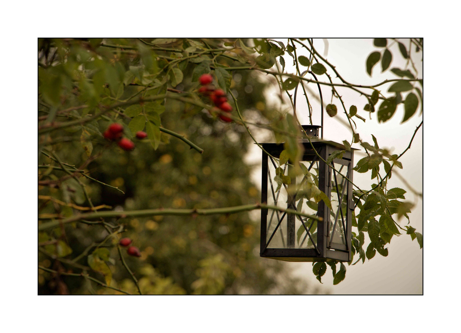 herbstliches Stillleben