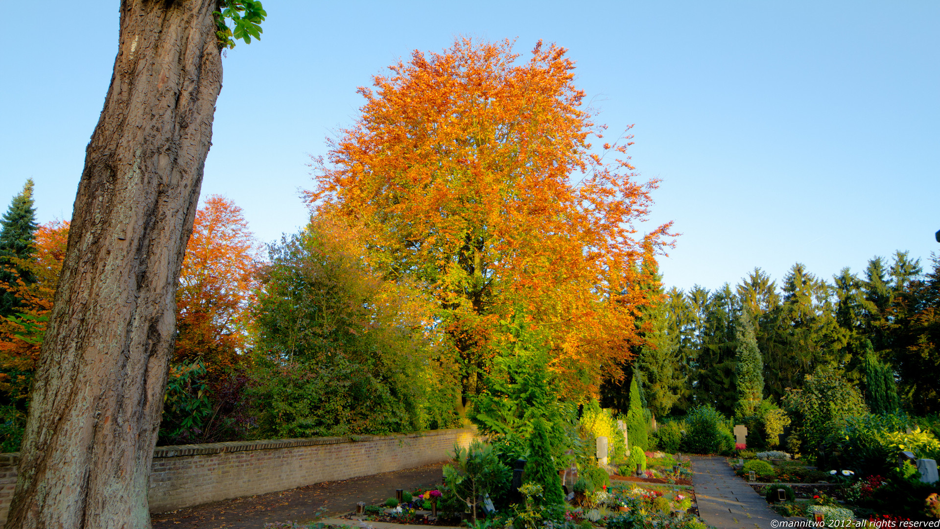 Herbstliches Stommeln 3