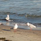 Herbstliches Strandvergnügen