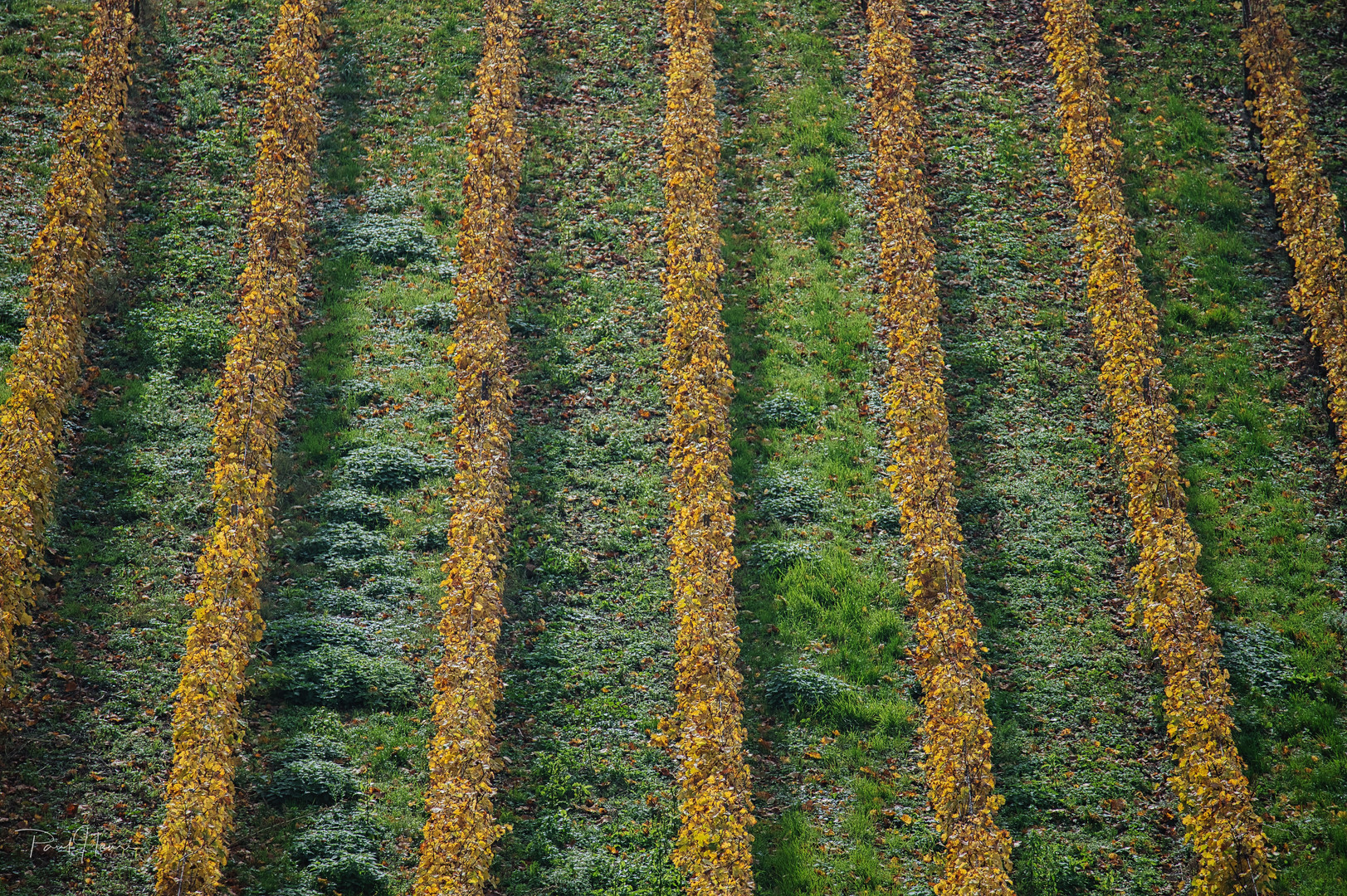 Herbstliches Streifenmuster