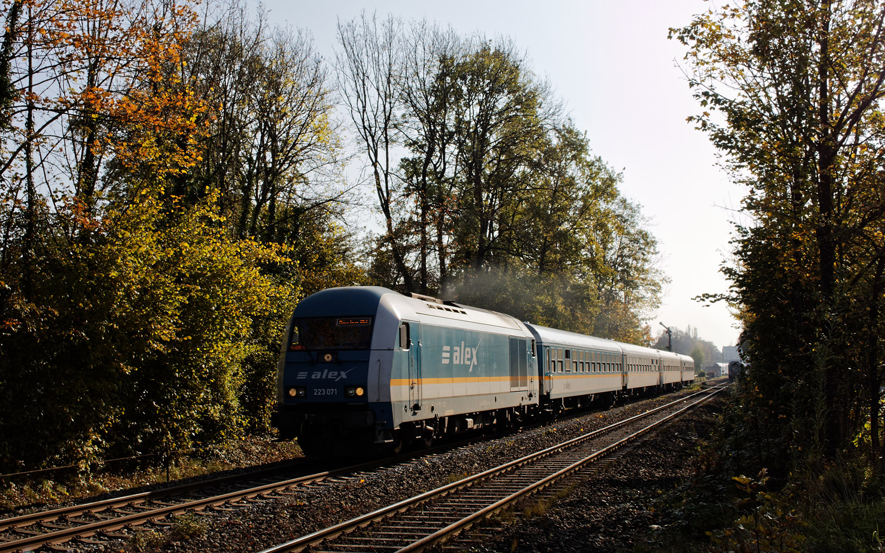 Herbstliches Streiflicht