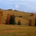 Herbstliches Südtirol...