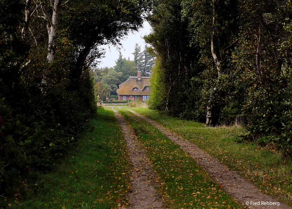 Herbstliches Sylt