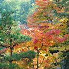 Herbstliches Takayama