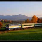 Herbstliches Tauchvergnügen