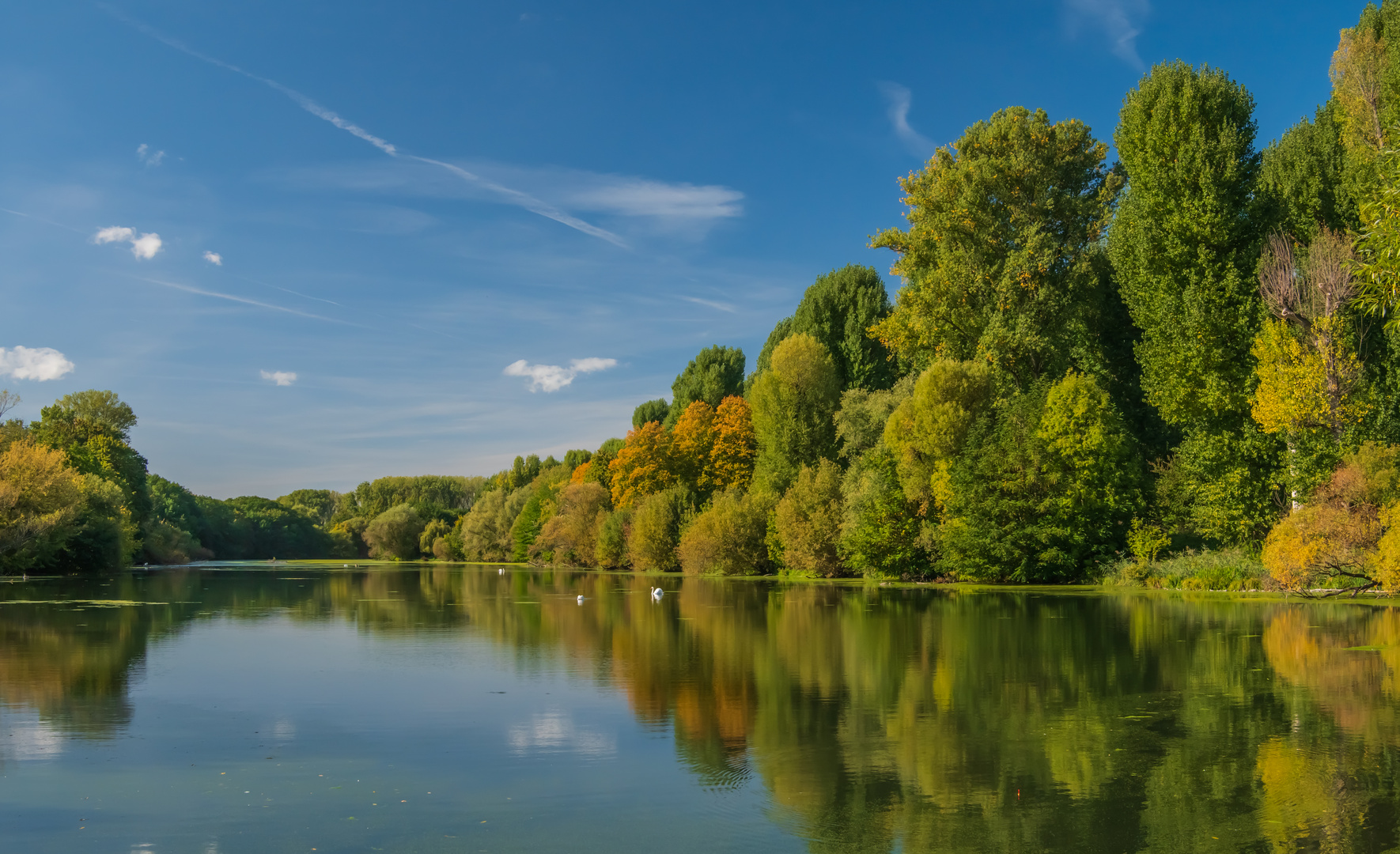 Herbstliches Teichufer 