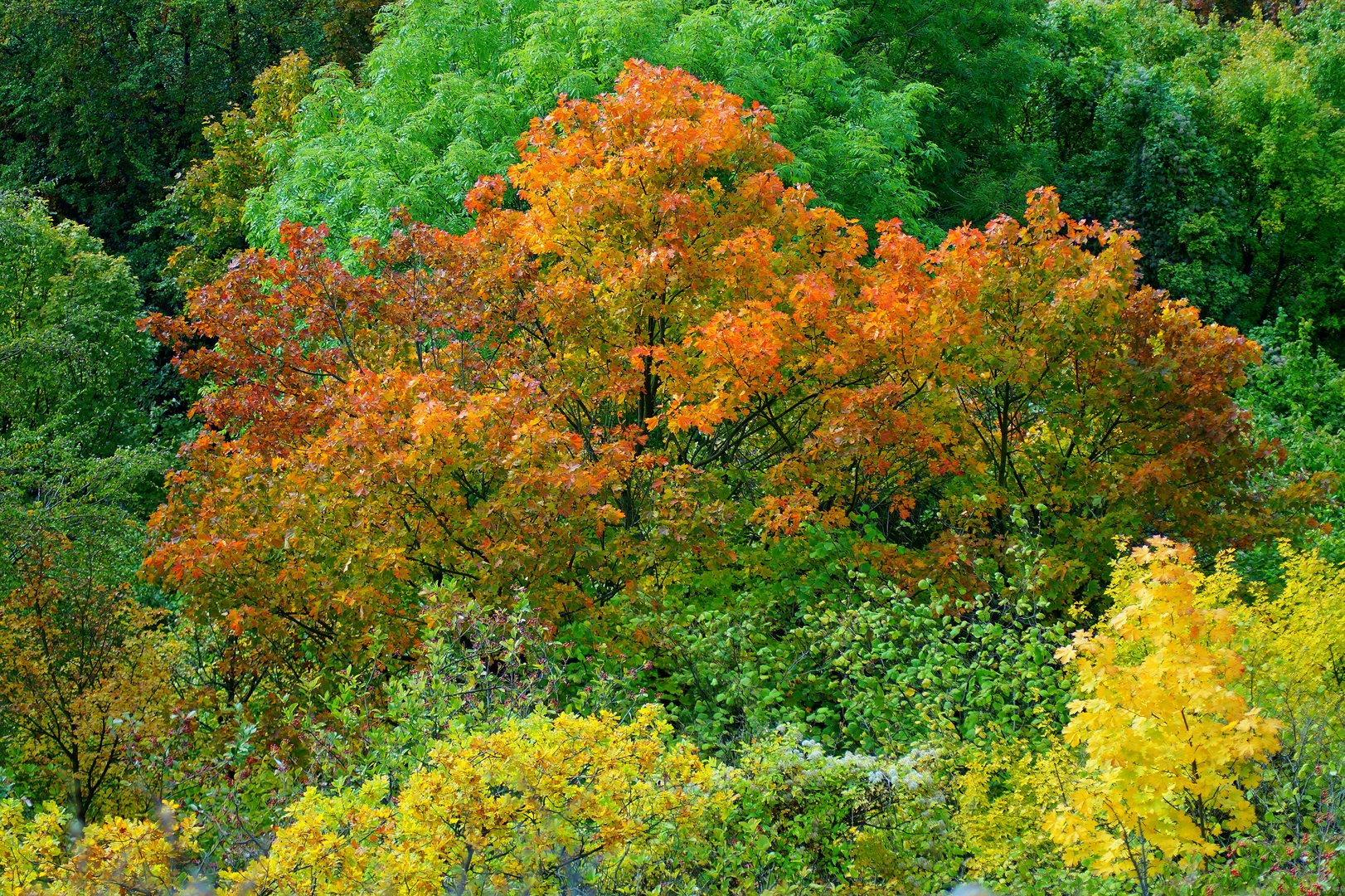 Herbstliches Thüringen