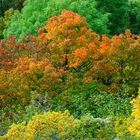 Herbstliches Thüringen