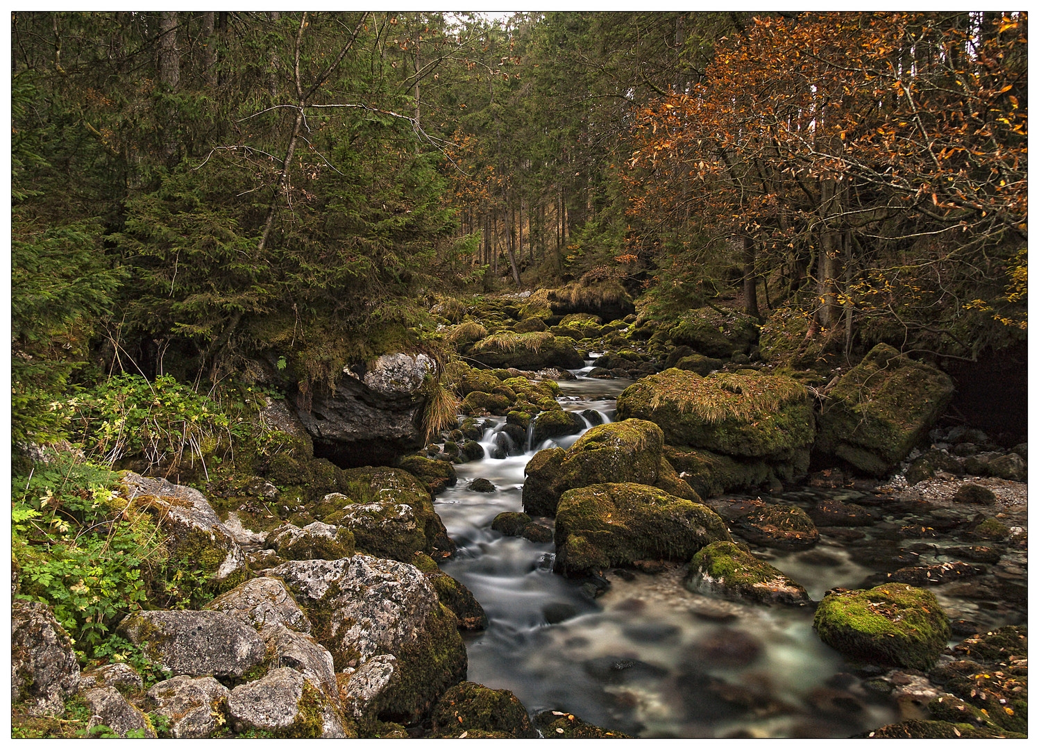 Herbstliches Traumland