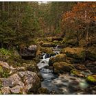 Herbstliches Traumland