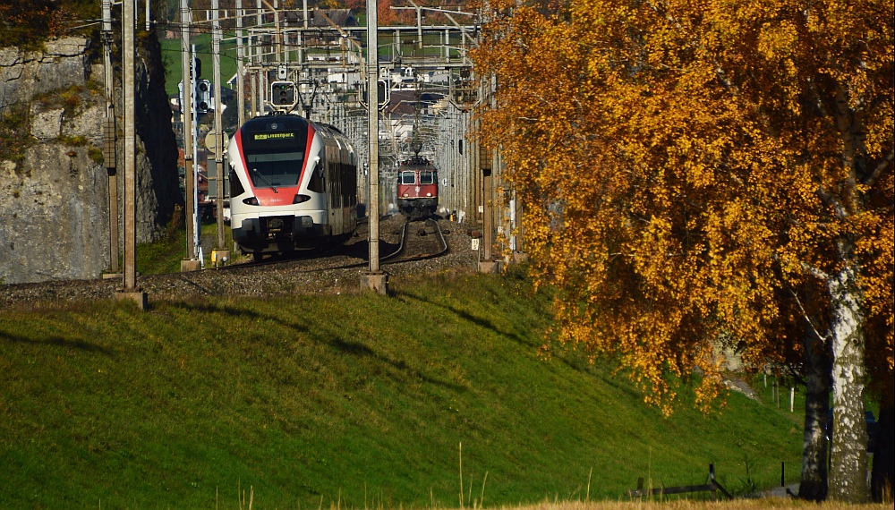 Herbstliches Treffen