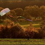 herbstliches Treiben