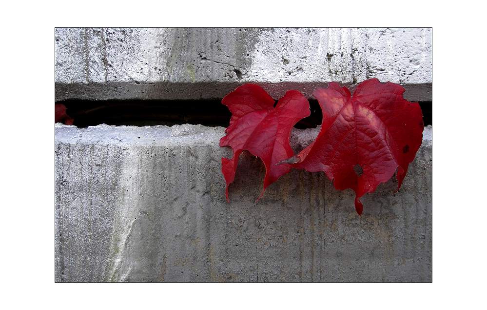 herbstliches tête à tête