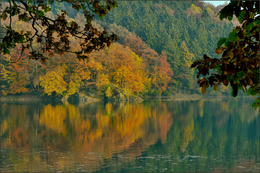 Herbstliches Ufer ...