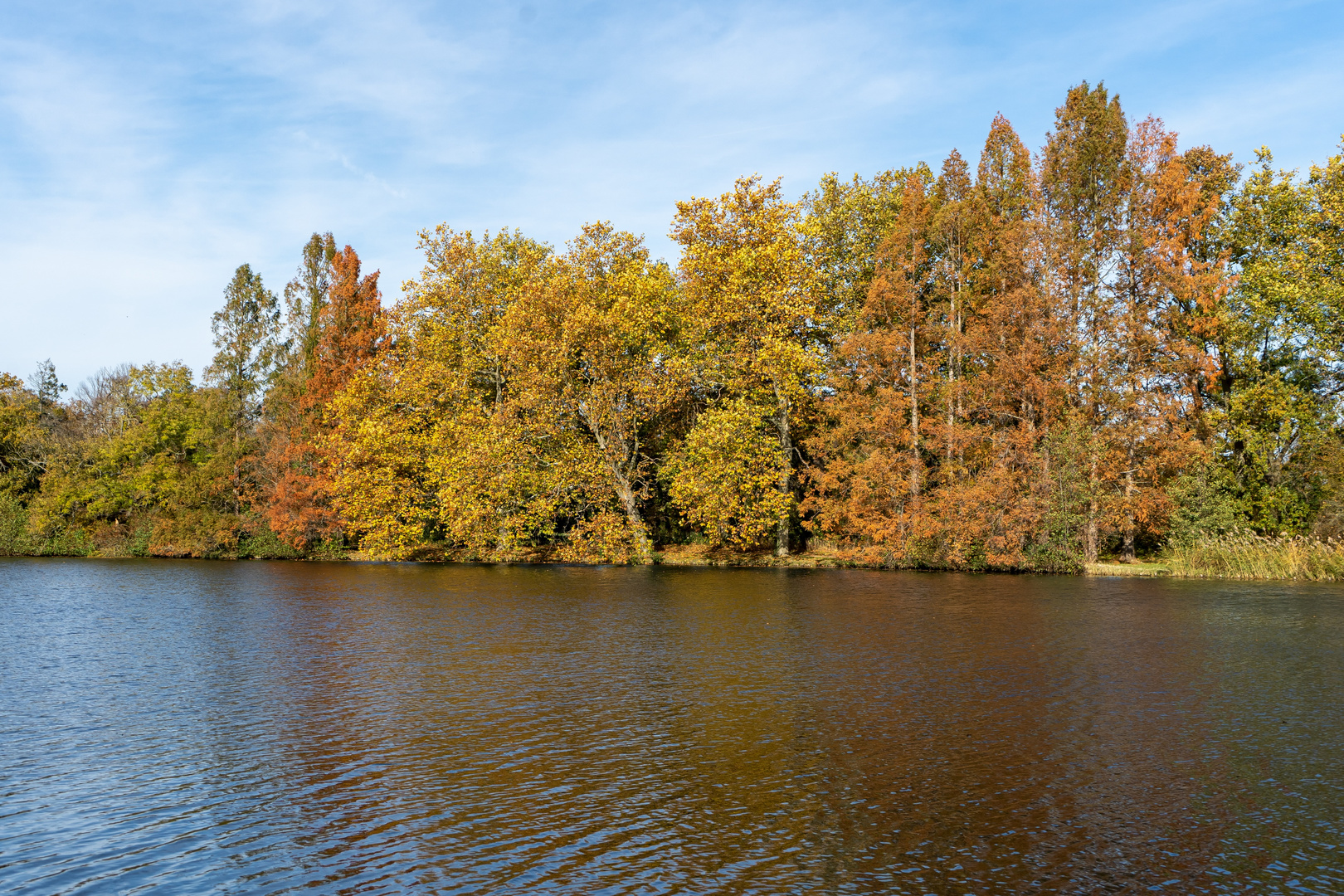 Herbstliches Ufer