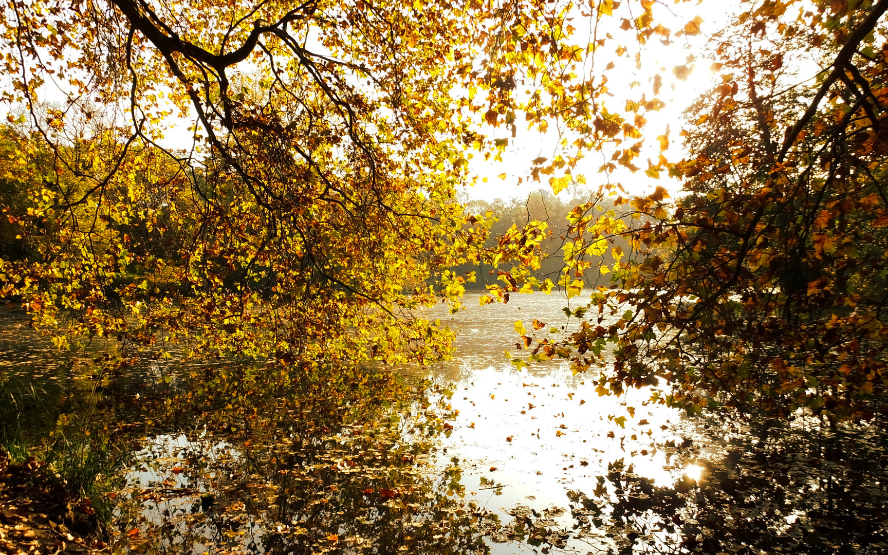 Herbstliches Ufer