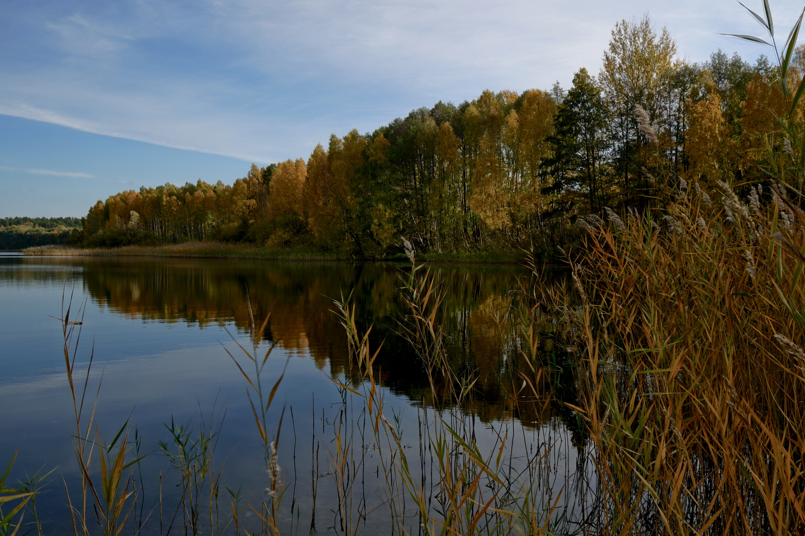 Herbstliches Ufer des grossen Kronsee