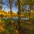 Herbstliches Ufer  des Stadtteiches