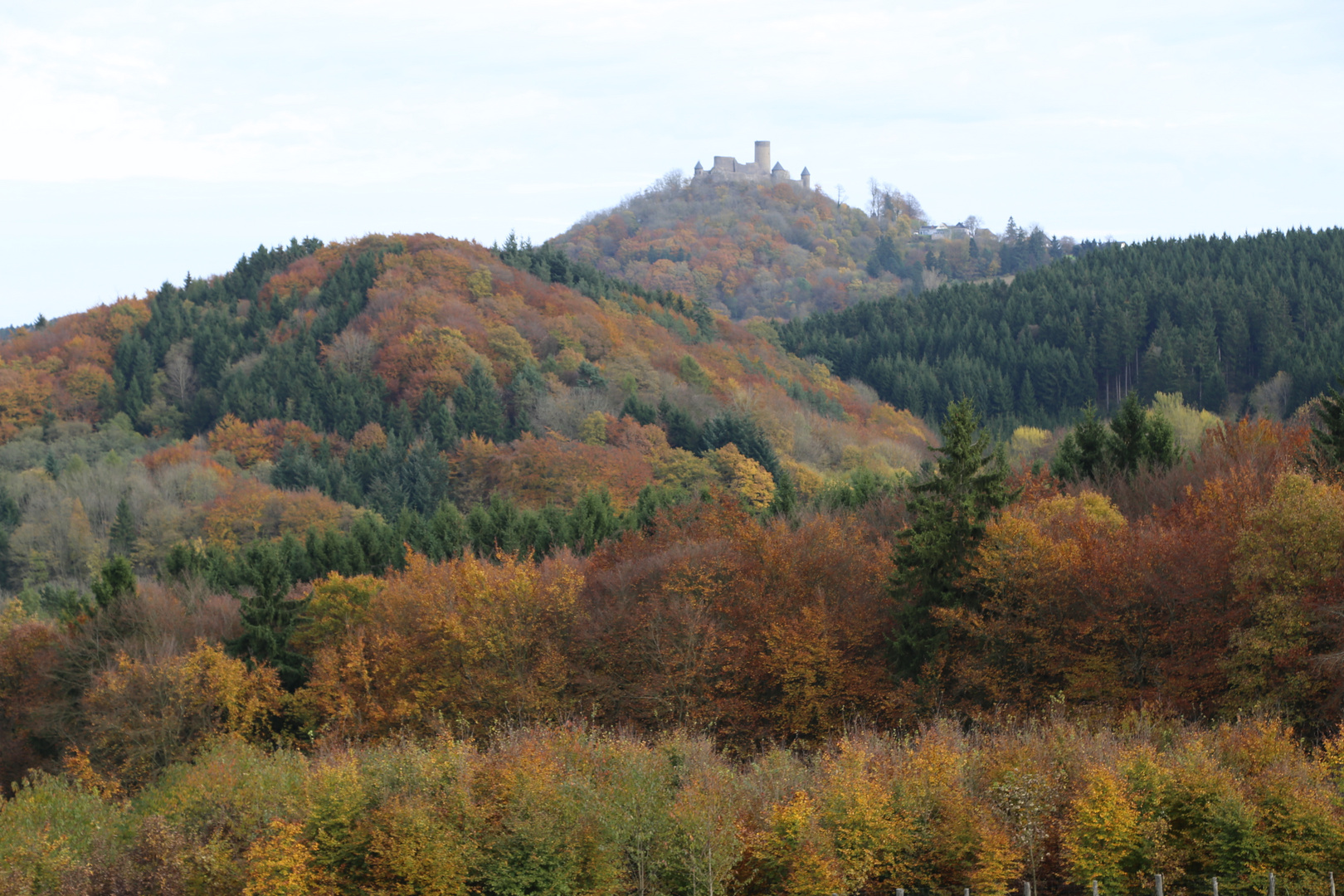 Herbstliches unterhalb der Burg