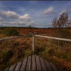 HERBSTLICHES VENN II