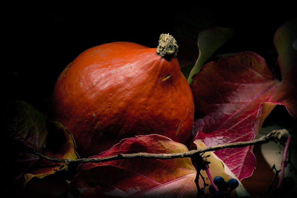 Herbstliches vom Feld