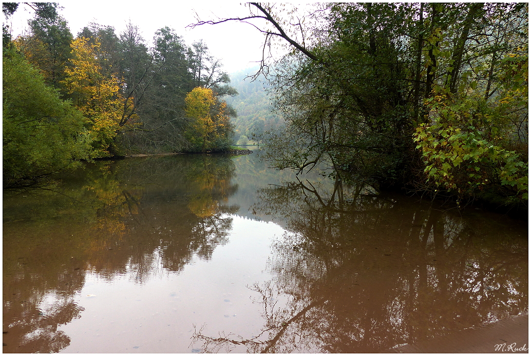 Herbstliches vom Main ,