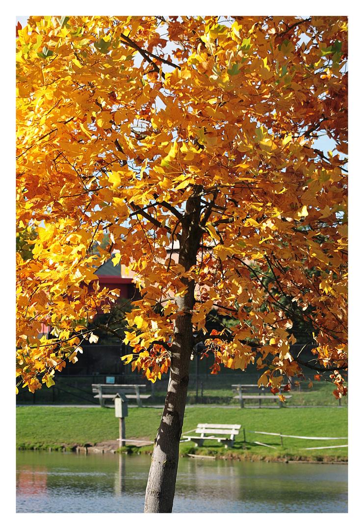 Herbstliches vom Mondo Verde Park