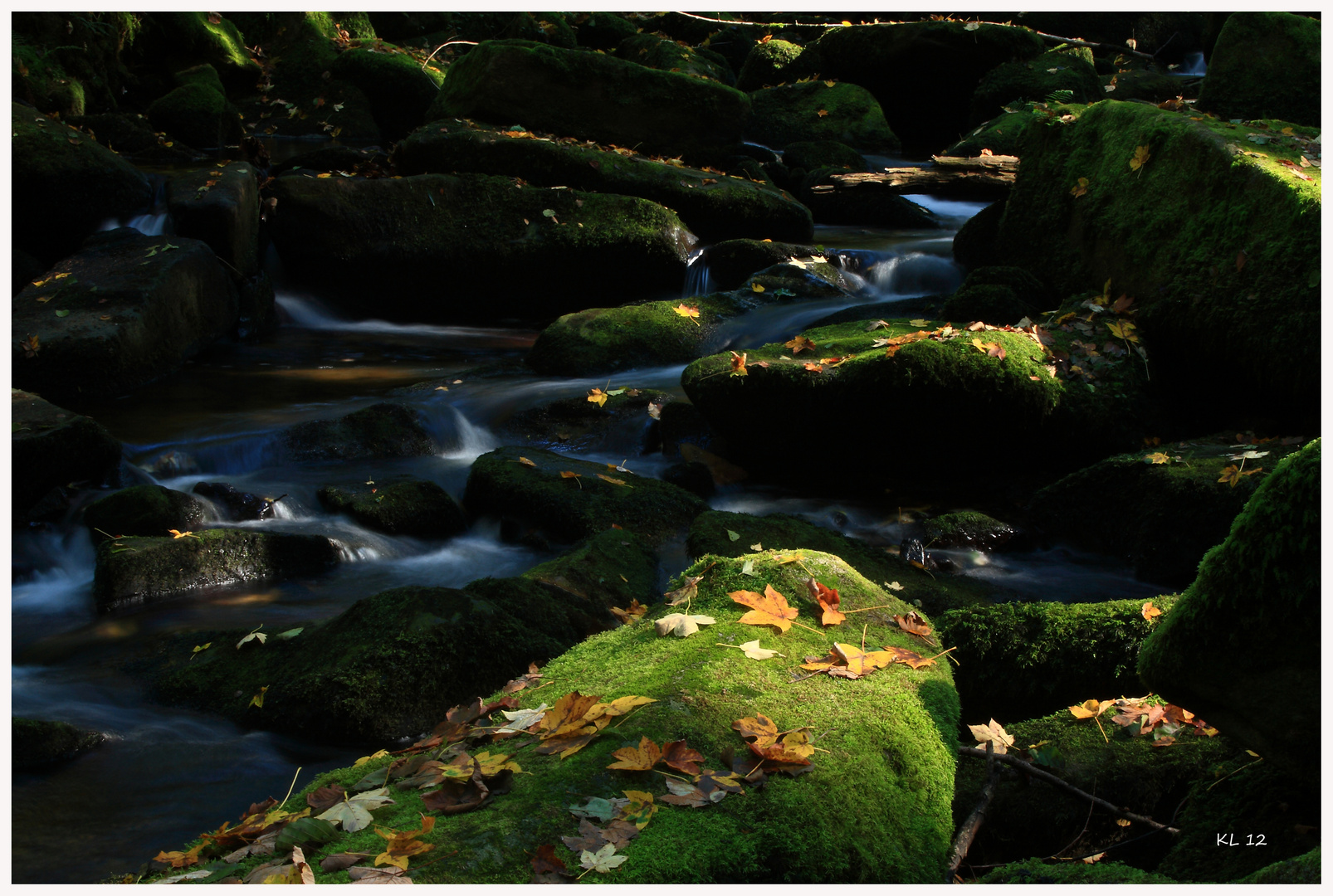 herbstliches Waldbächlein