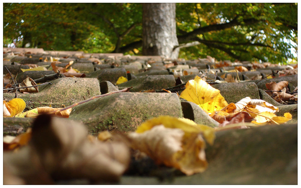 Herbstliches Waldhaus