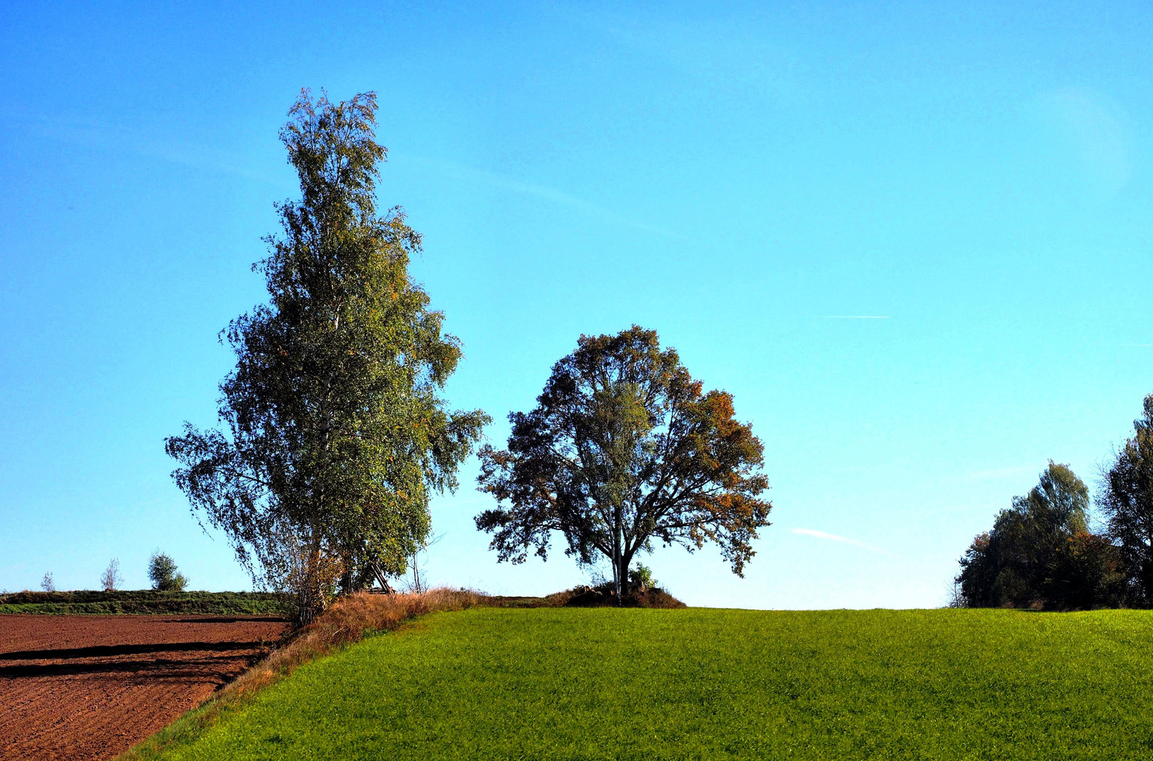 Herbstliches Waldviertel (1)