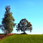 Herbstliches Waldviertel (1)