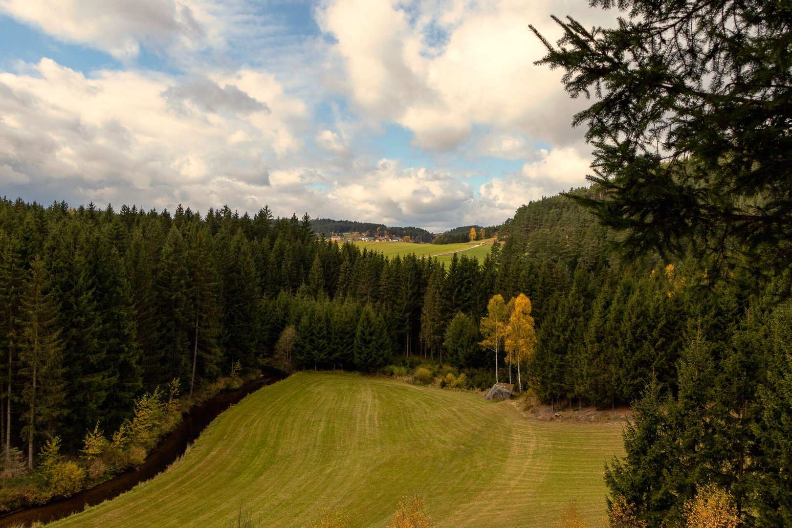 Herbstliches Waldviertel