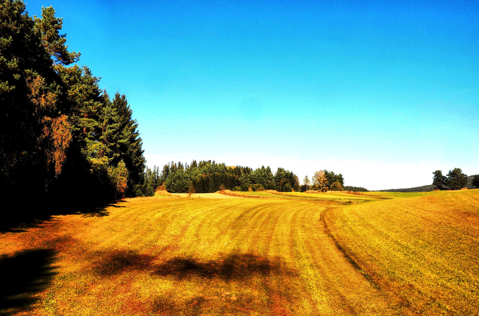 Herbstliches Waldviertel (5)