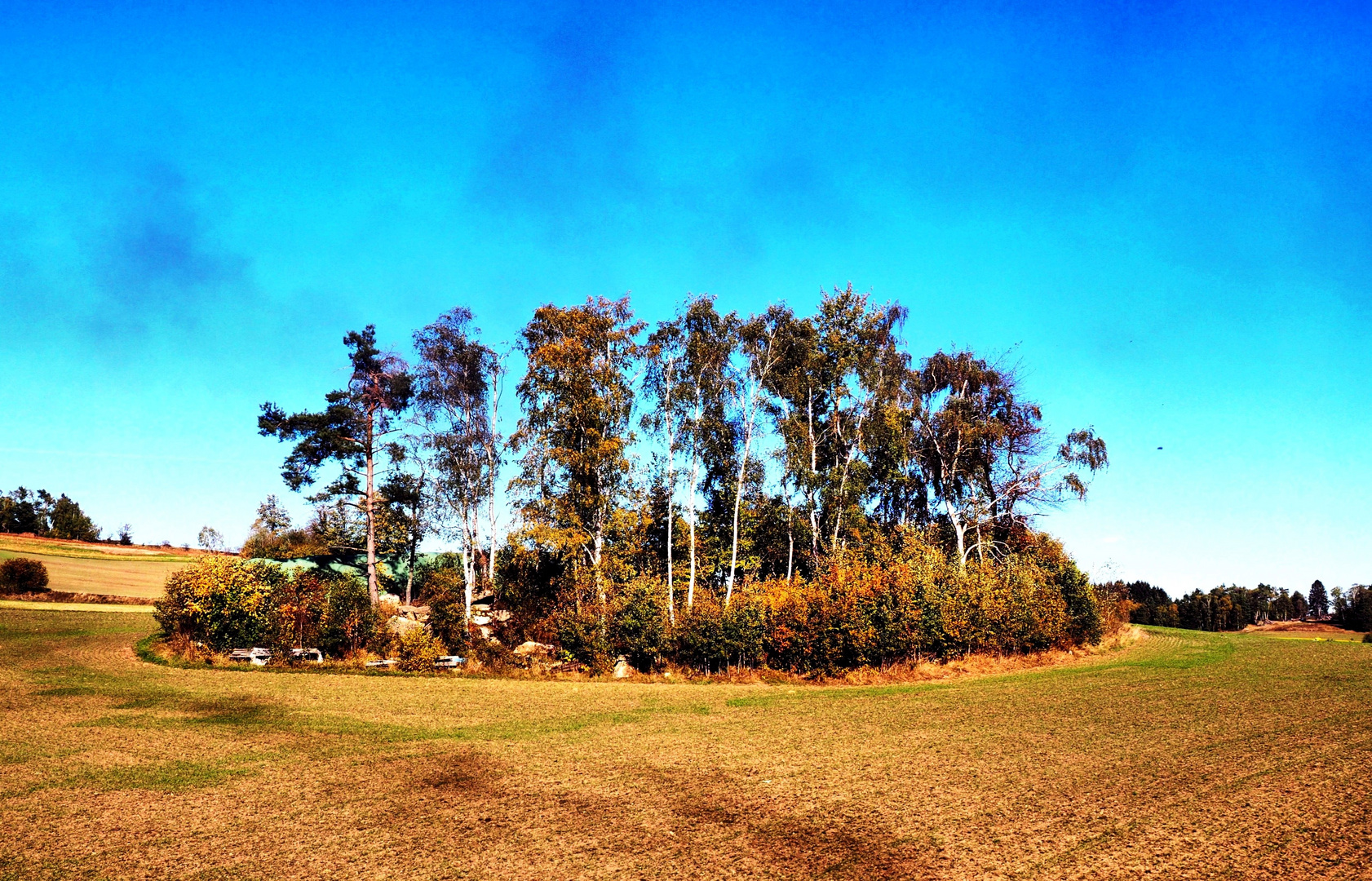 Herbstliches Waldviertel (6)