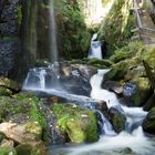 Herbstliches Wasserspiel!