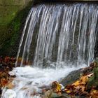 Herbstliches Wasserspiel