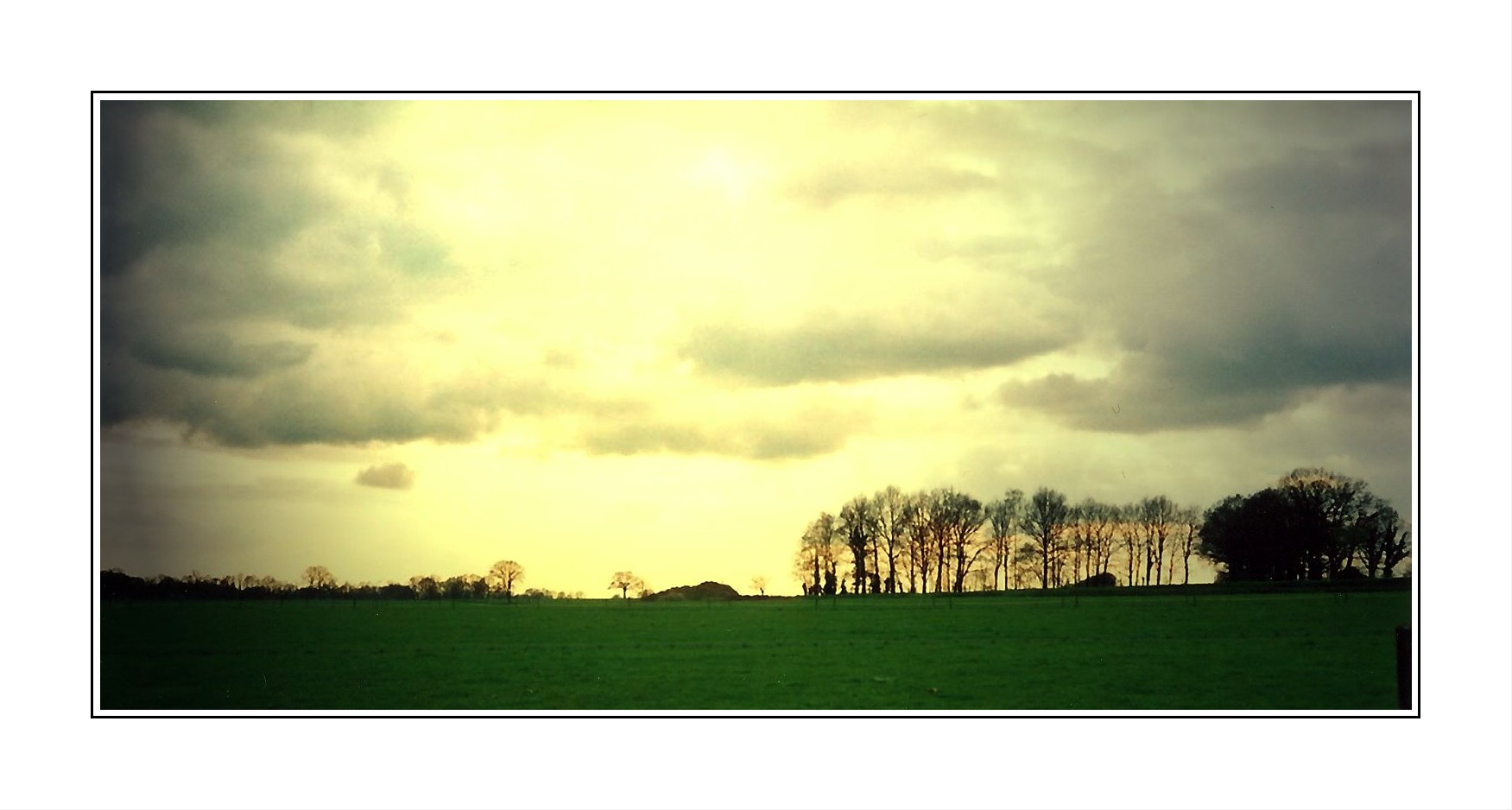 Herbstliches Weideland.