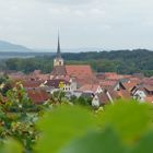 Herbstliches Weinfranken