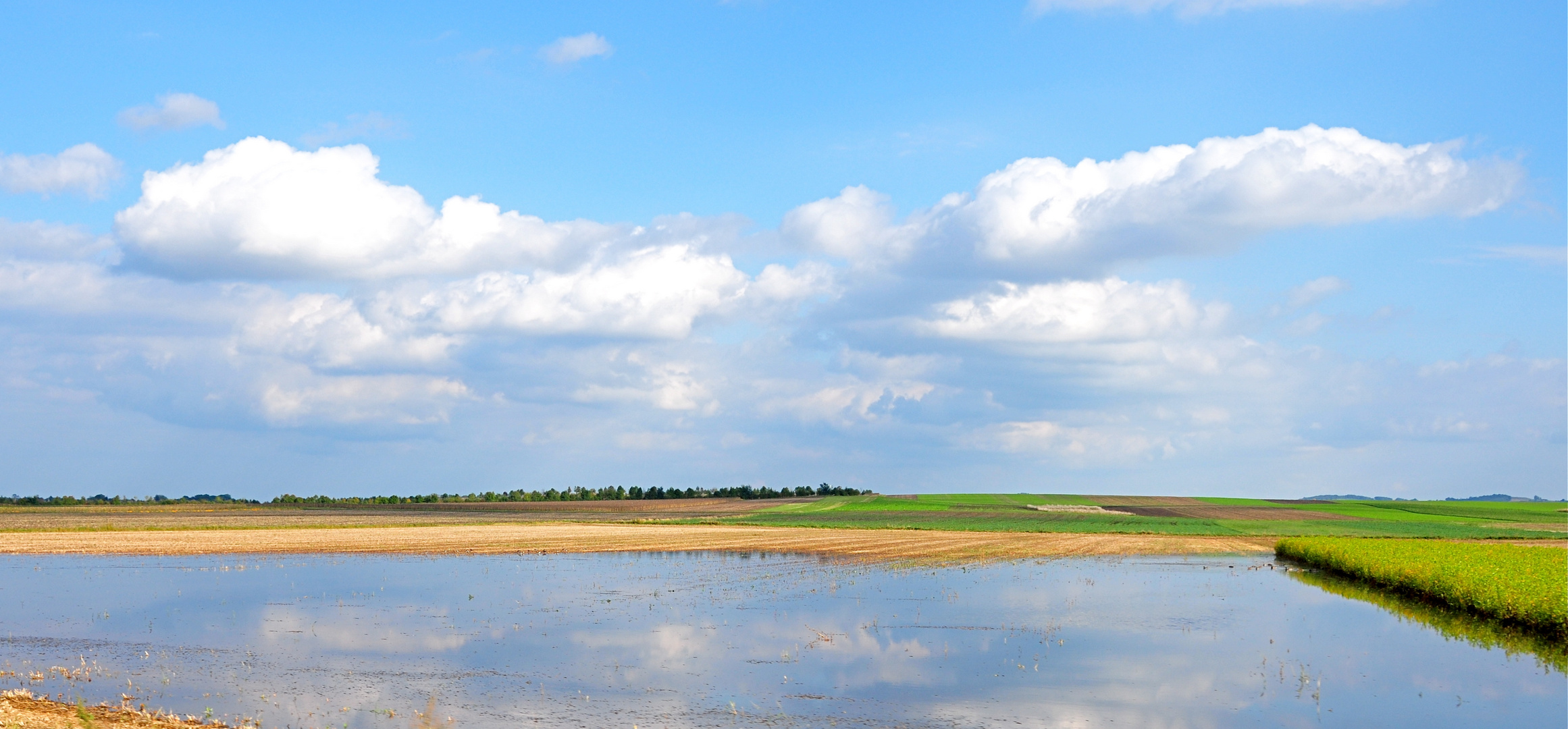 Herbstliches Weinviertel, Niederösterreich