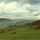 Herbstliches Weserbergland